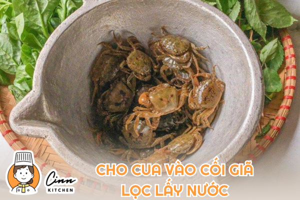 Cho cua vào cối giã lọc lấy nước